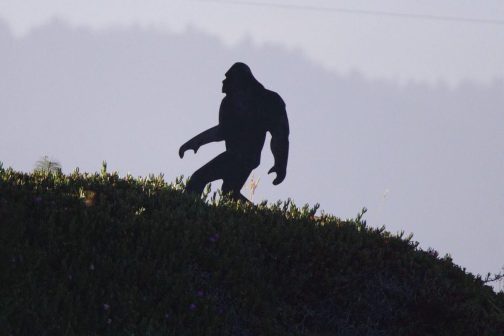 Stargazing, AI, and Sasquatch: The Flagstaff Festival of Science returns
