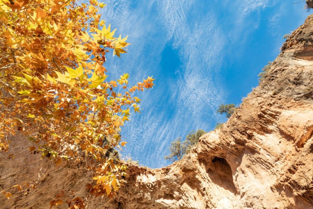 Tonto Natural Bridge State Park. Blue sky and yellow leaves. Autumn.