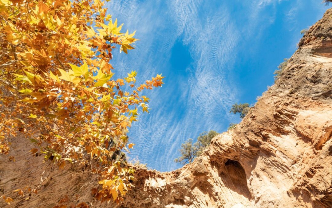 Chasing fall: 5 Arizona state parks for your autumn bucket list