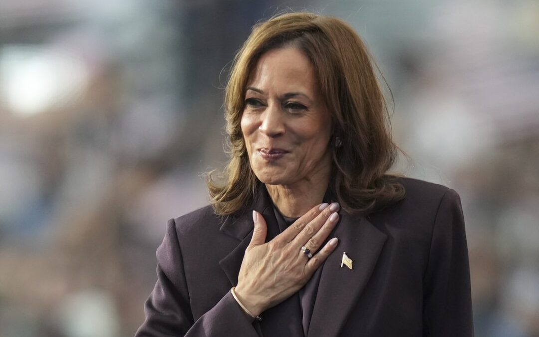 Harris says nation must accept election results while urging supporters to keep fighting