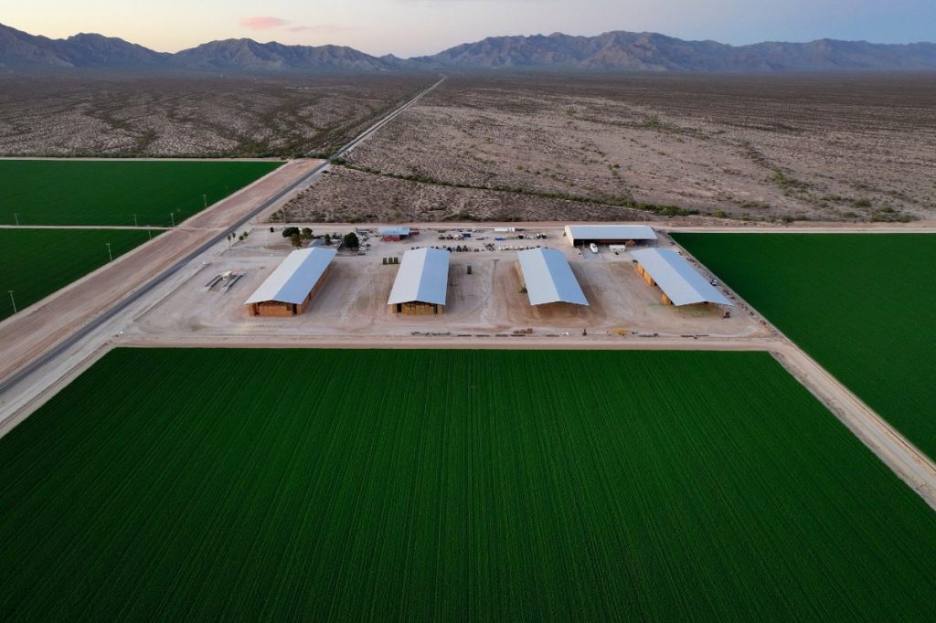 Kris Mayes sues ‘nuisance’ corporate mega-farms for exploiting Arizona’s groundwater rules