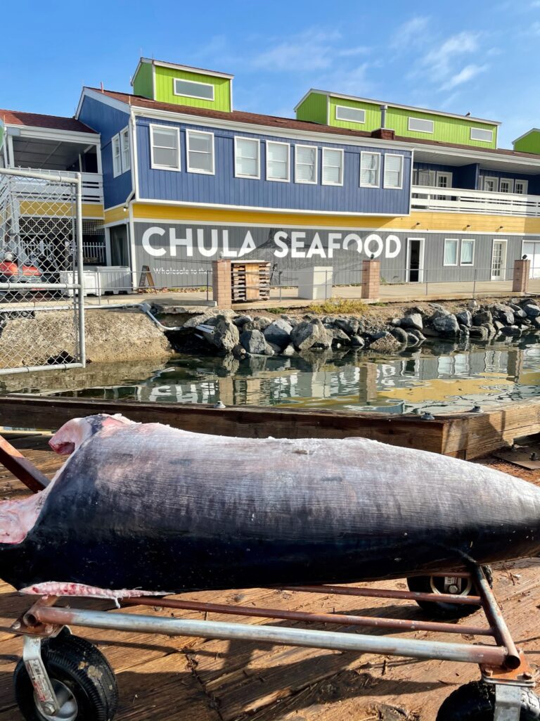 Find the freshest seafood in Phoenix at these 7 restaurants