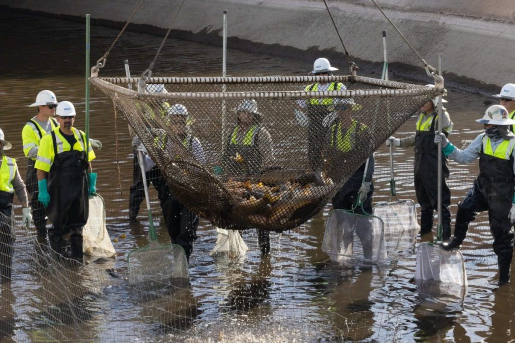 SRP employees band together to clean 10 miles of Salt River canal system