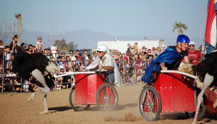 Weird & wacky Arizona festivals happening in 2025
