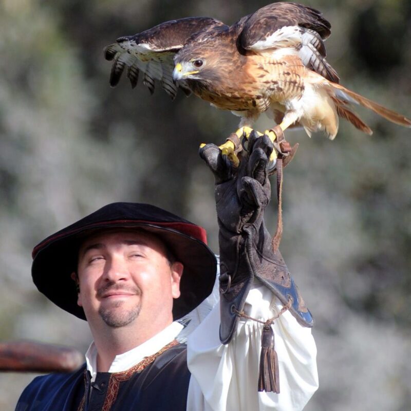 What to Know About the 2025 Arizona Renaissance Festival