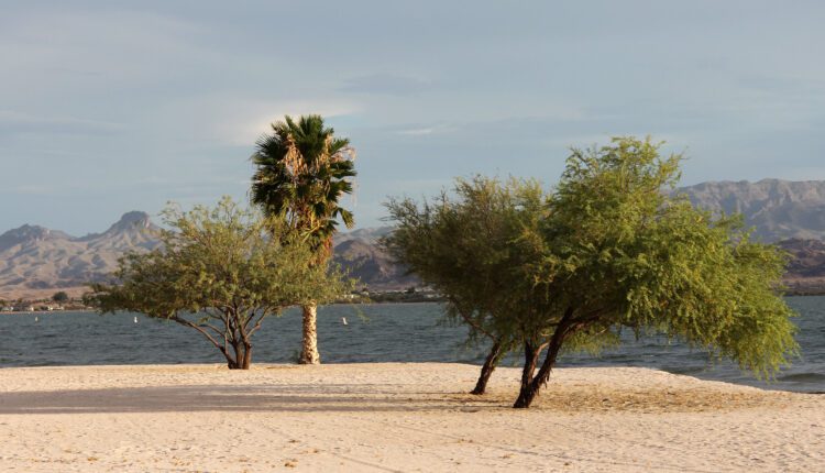 Celebrate 60 Years of Lake Havasu State Park at free event