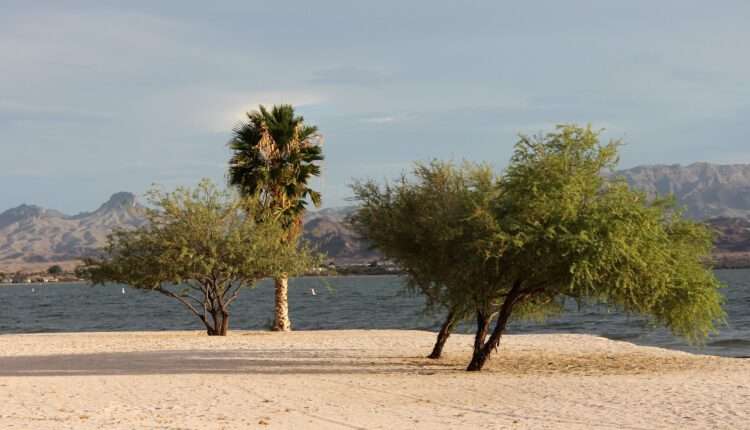 Celebrate 60 Years of Lake Havasu State Park at free event