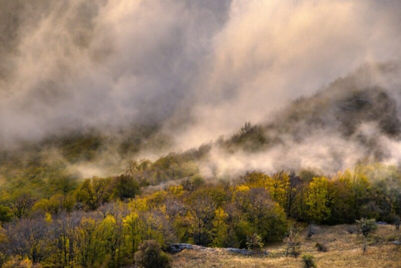 University of Arizona finds fewer forest fires lead to worse blazes