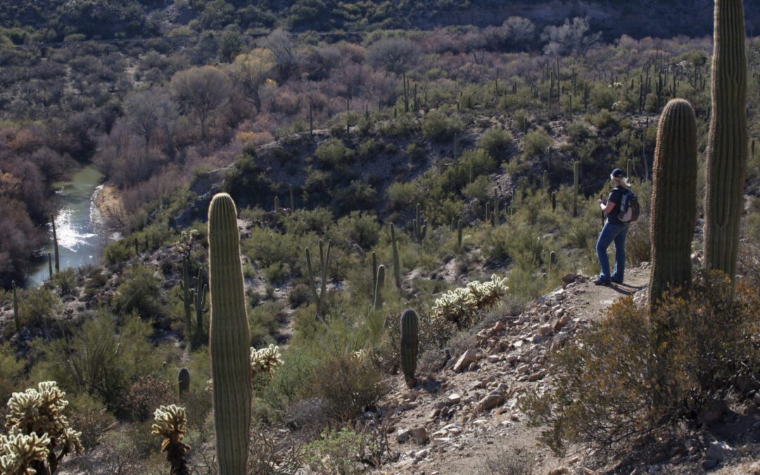 Arizona state parks celebrate Earth Day with unique activities