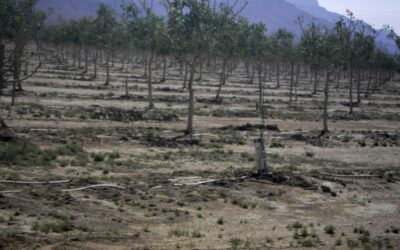 Arizona’s rural groundwater deal stalls as legislative session nears end