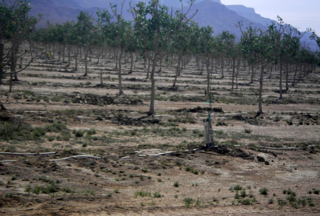 Arizona’s rural groundwater deal stalls as legislative session nears end