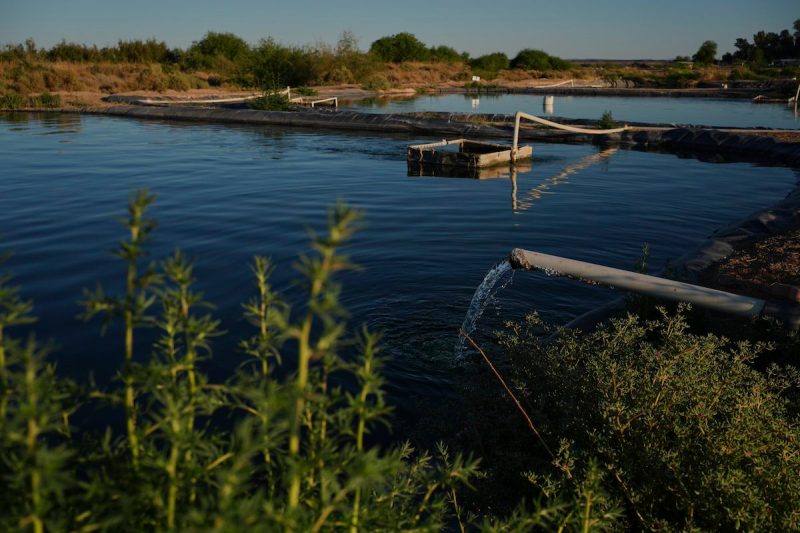 aerial shot of ponds
