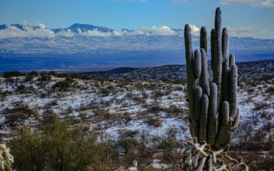 Appeals court revives Native American challenge to $10B SunZia energy transmission project