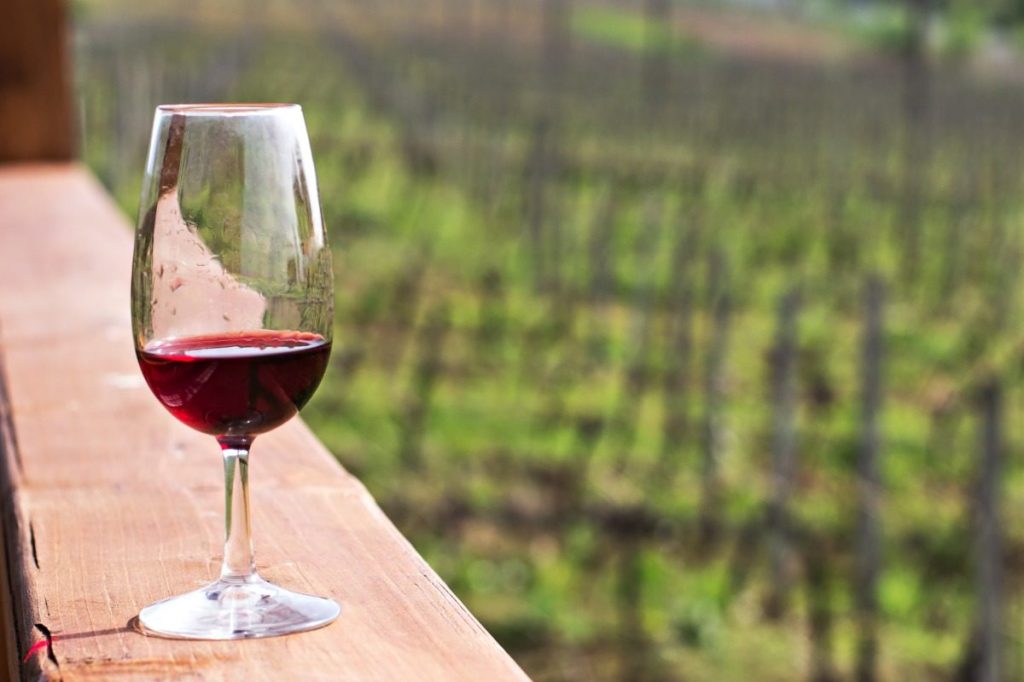 Arizona wine country: The 3 regions + their top wineries