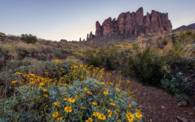 13 hidden-gem campgrounds in Arizona where you can always find a spot