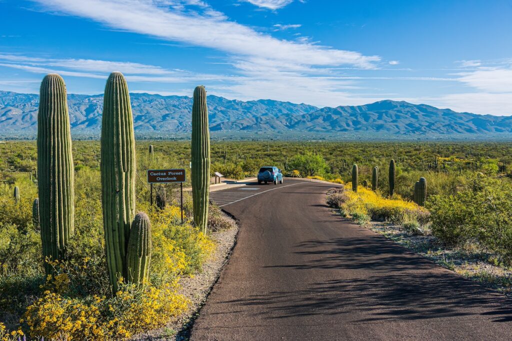 A car at a scenic overlook at Saguaro National Park