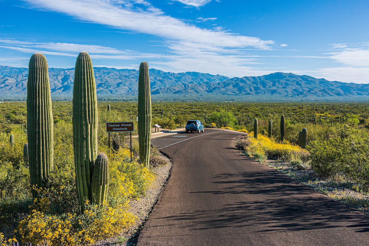 Want to get outside? Check out the closest national parks to Tucson