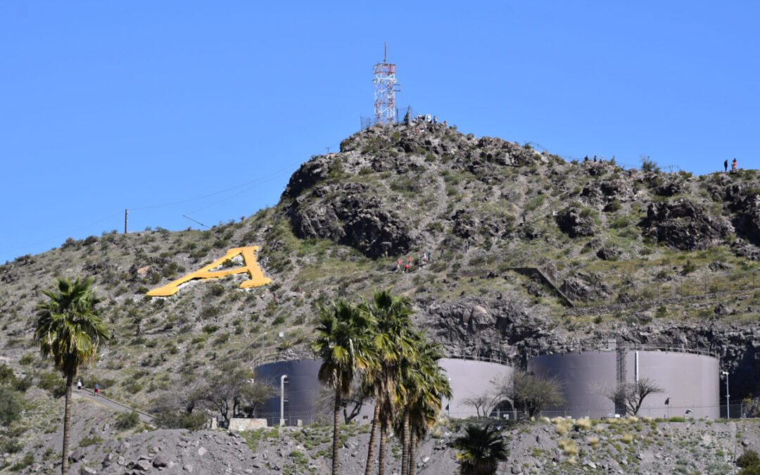 8 Arizona college traditions students will never forget