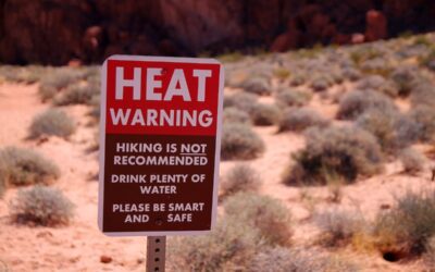 Green spaces are key to combating record heat in marginalized communities