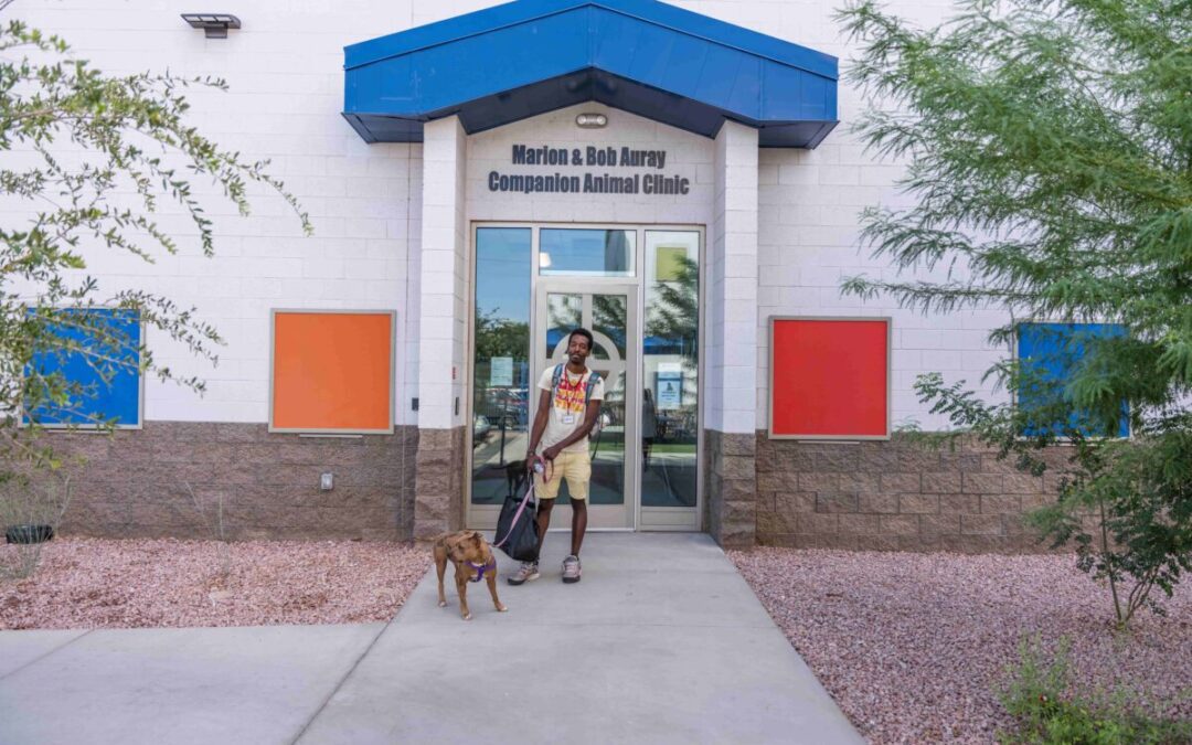 We checked out St. Vincent de Paul’s new vet clinic helping pets of unhoused Arizonans