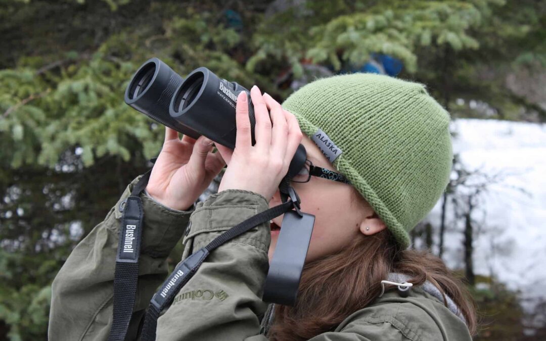 Your guide to birdwatching in Arizona this fall & winter
