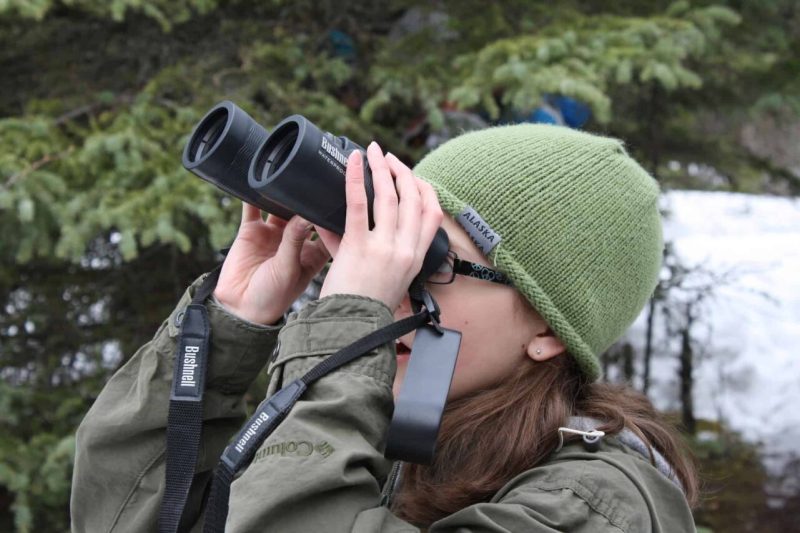 Whether you are a seasoned birdwatching pro or a complete novice to the fascinating hobby, the fall and winter are primed with cooler temperatures and birds flying south.