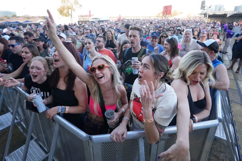 crowd of people singing at music festival
