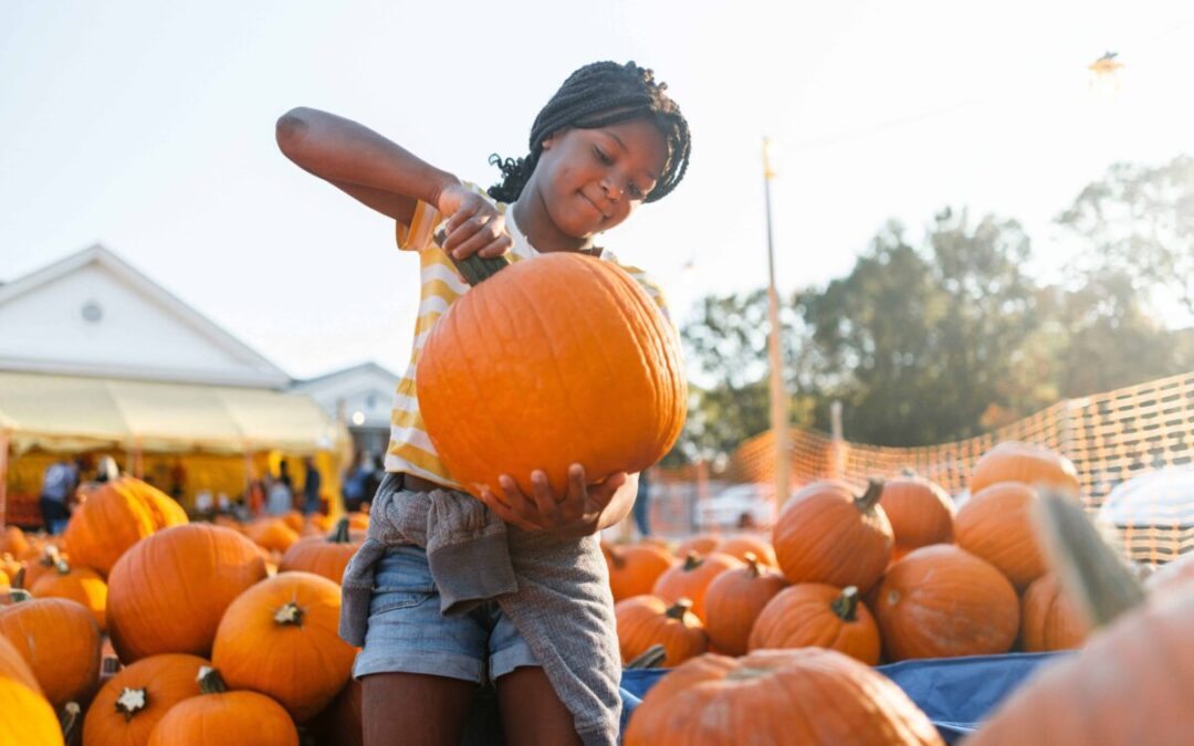 10 Phoenix farms & fall fests offering pumpkins, hayrides & more
