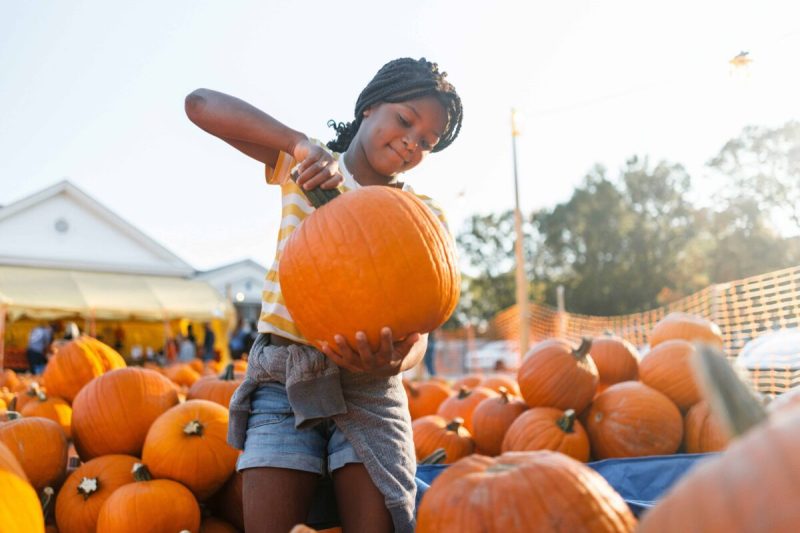 Phoenix and the surrounding cities are notoriously hot until post-Halloween, but that makes it all the more fun to take an evening stroll on the town to explore all the fall-time fests.