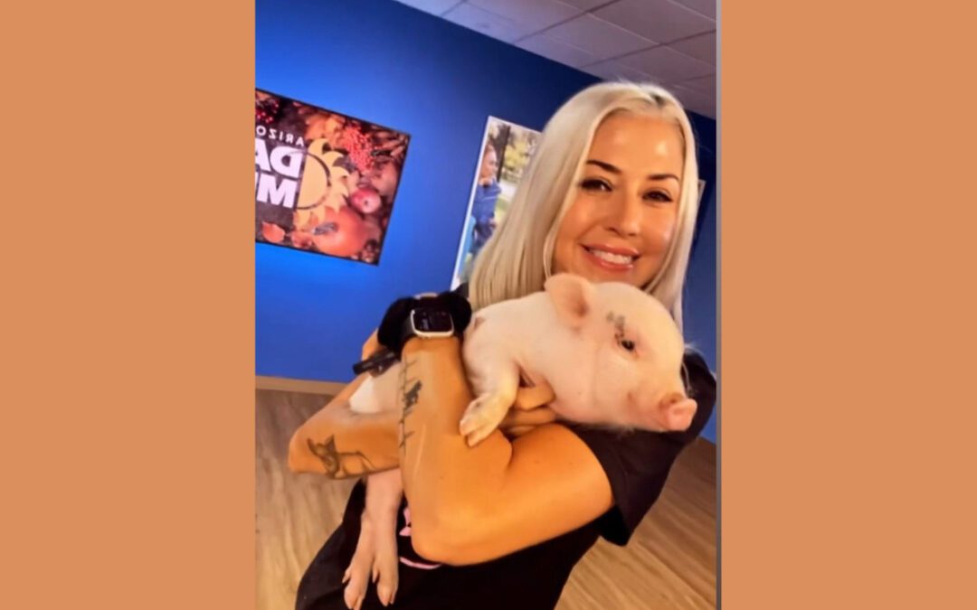 This woman cares for 200 pigs at a Phoenix animal rescue. Here’s how she does it