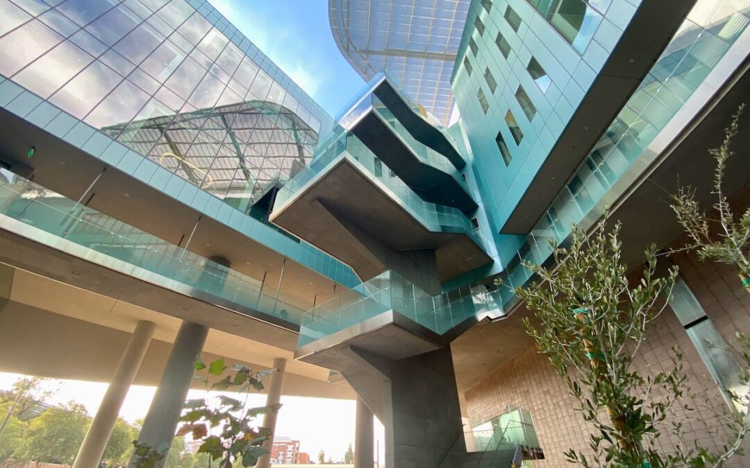 These are the 10 best Arizona companies to work for 2025, according to Forbes