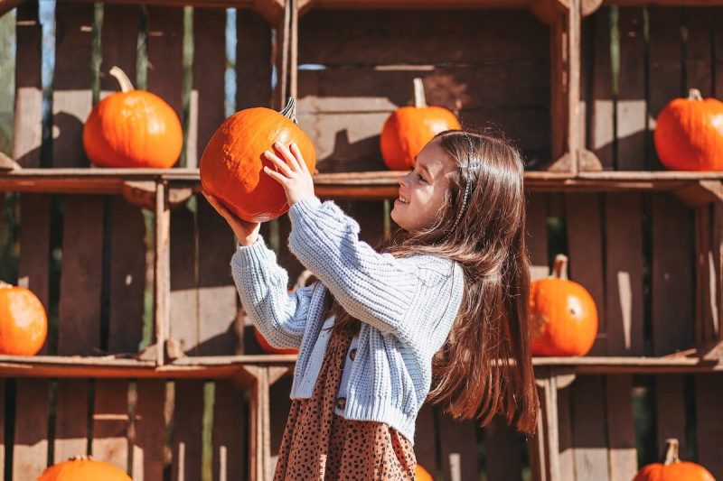 young girl taking a pumpkin off a wall full of shelves with pumpkins on them