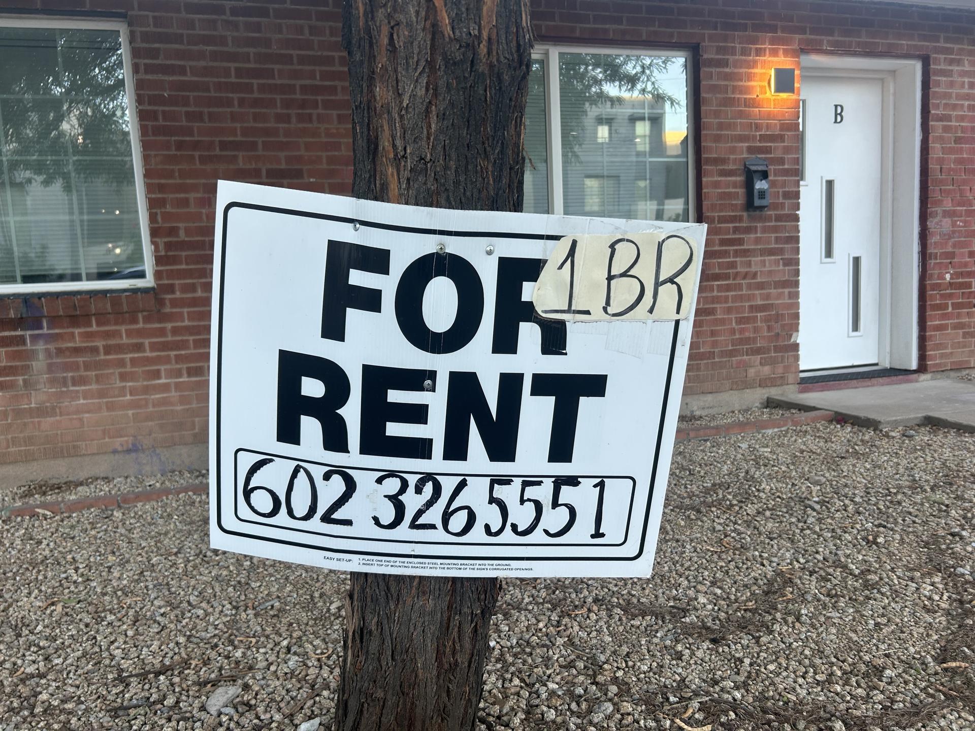 sign that says for rent, one bedroom, and a phone number posted on a post
