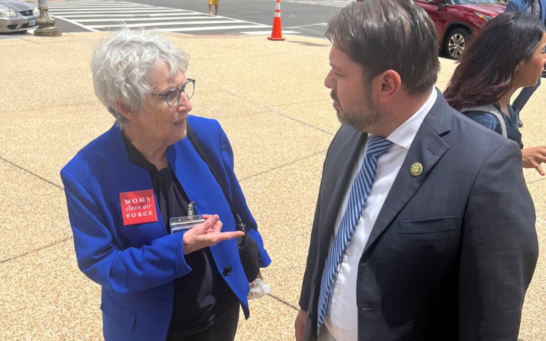 Hazel Chandler, who fought for cleaner air and climate action in Arizona, dies at 80