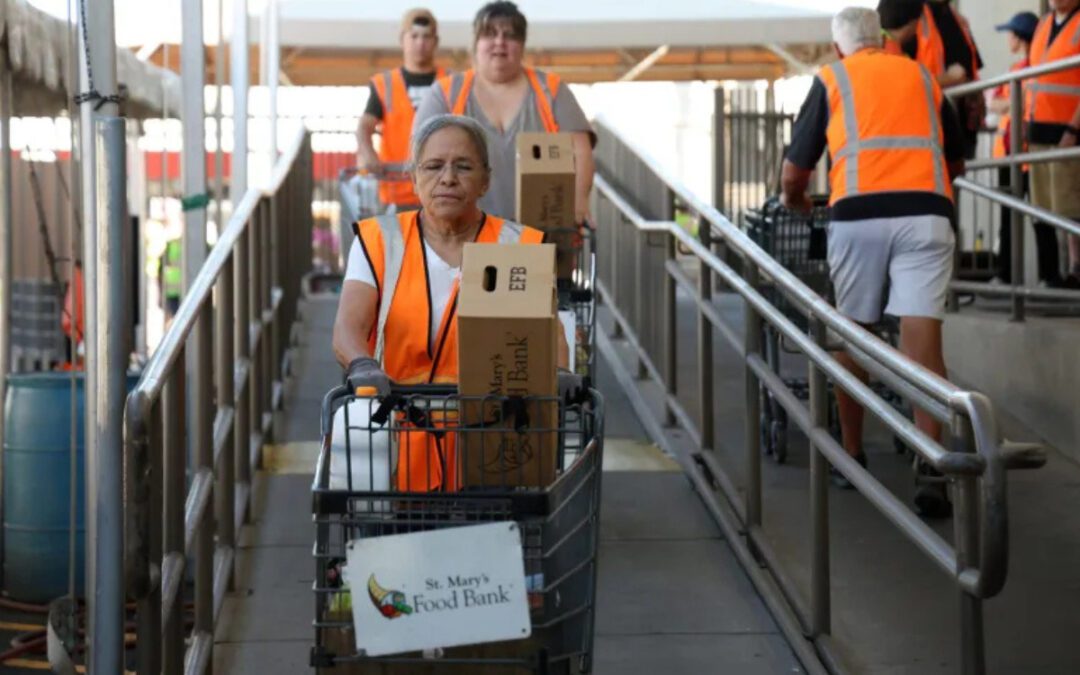 ‘Better than starving’: SNAP recipients to get half ration in November