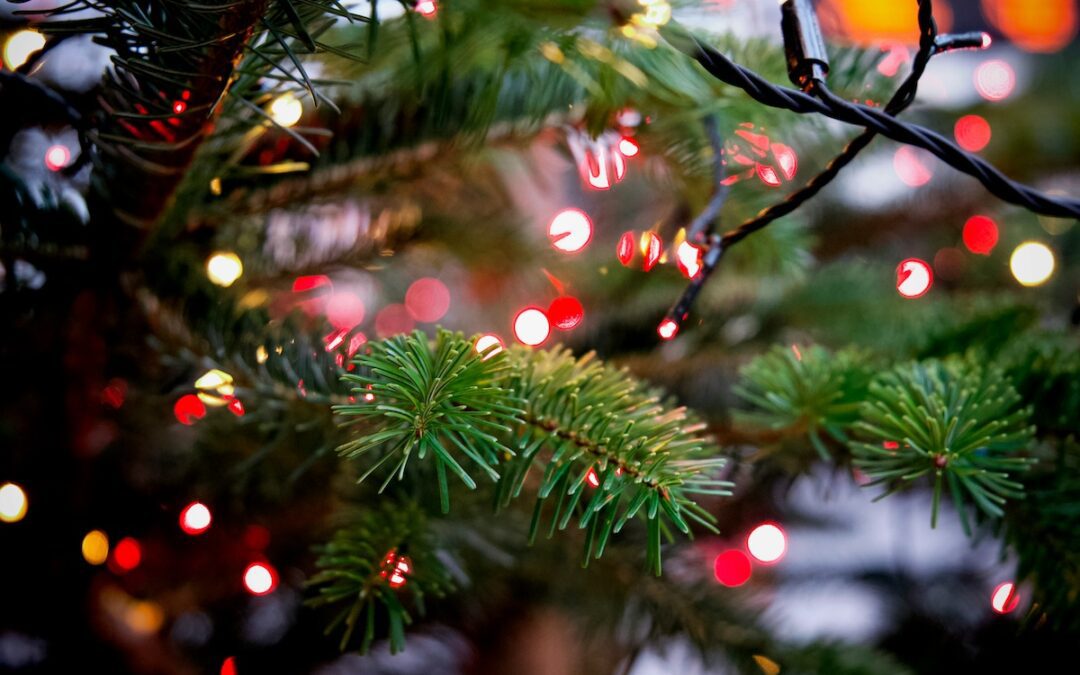 This Phoenix family just won the ‘Great Christmas Light Fight’