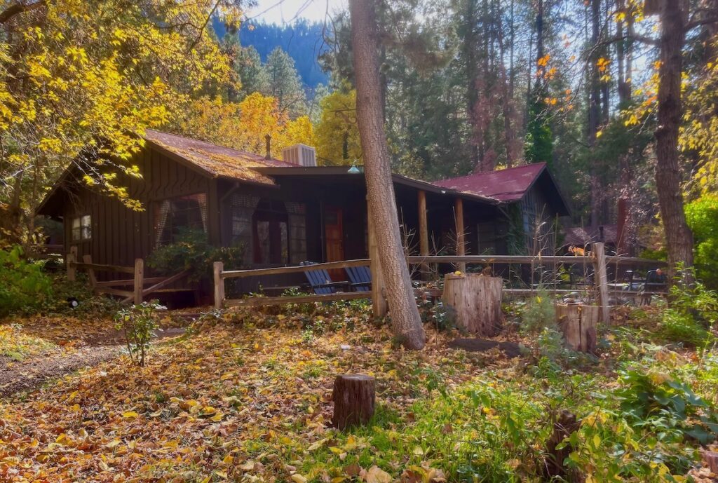 wooden cabin in the woods with fall leaves