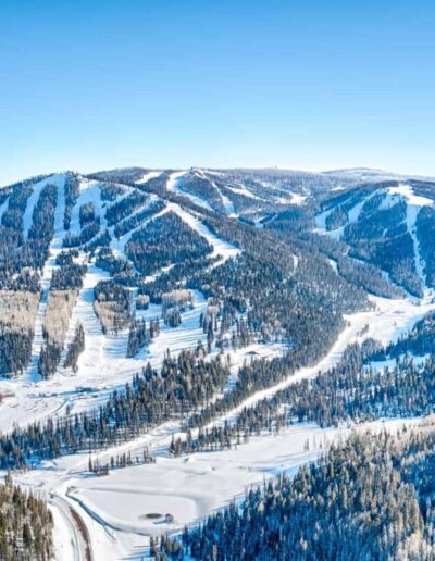 The first weeks of January welcomed a fresh blanket of snow in the higher elevation areas.