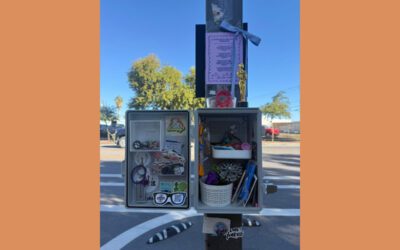 Move over, little libraries. Trinket boxes are taking over Phoenix