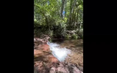 WATCH: Take a breath at Horton Creek in Payson, Arizona