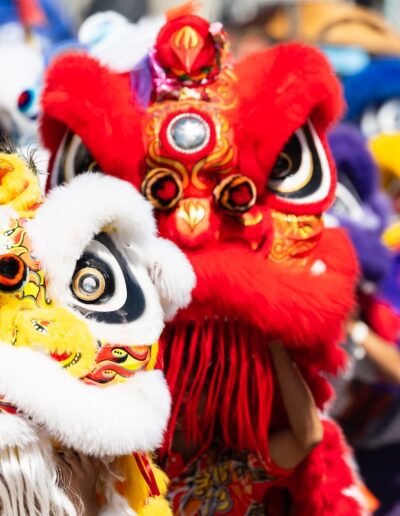 close up of Chinese lion costume heads