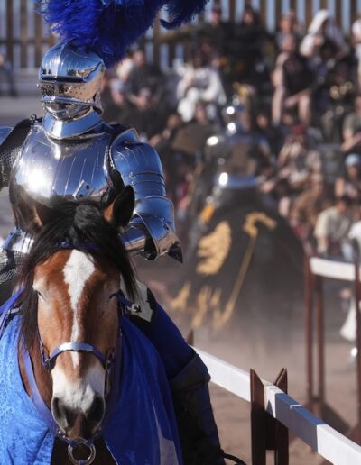 person dressed as a knight riding on a horse