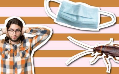 I spent a year living in a nightmare Phoenix apartment. Here’s what I learned