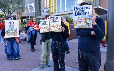 Marana voters may get to decide fate of proposed data centers