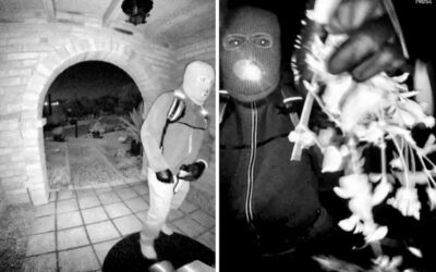 A Walmart backpack may be the biggest clue in Nancy Guthrie’s disappearance