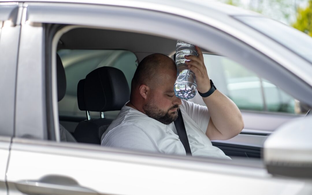 Don’t leave these 12 things in your hot car, Arizona. Here’s why