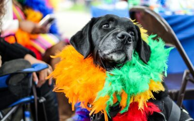 30 Arizona events to check out this weekend (March 6-8)