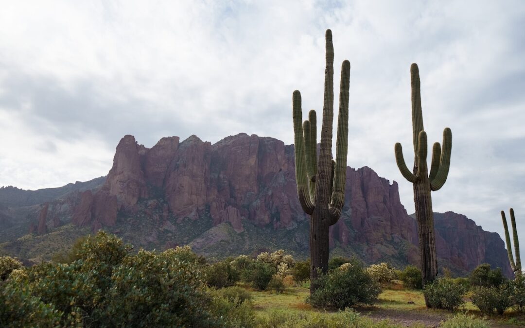 Here’s where metro Phoenix home prices climbed the most in 2025