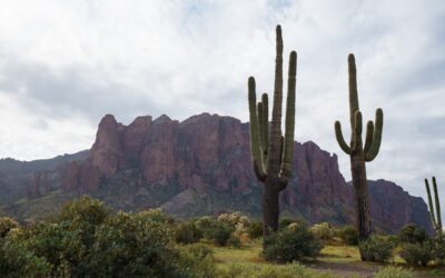 Here’s where metro Phoenix home prices climbed the most in 2025