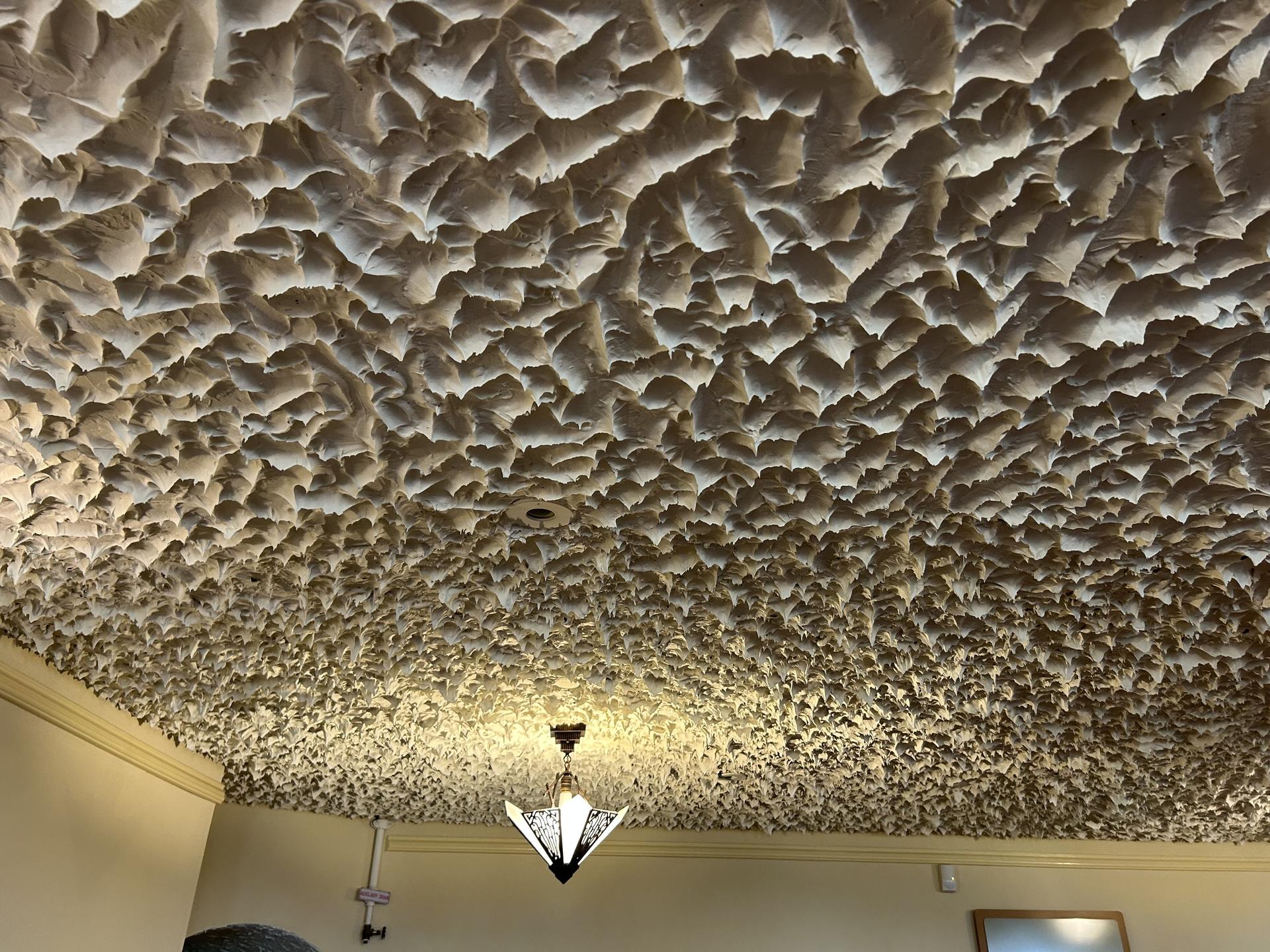 a ceiling where plaster hangs down, almost like an exaggerated popcorn ceiling texture